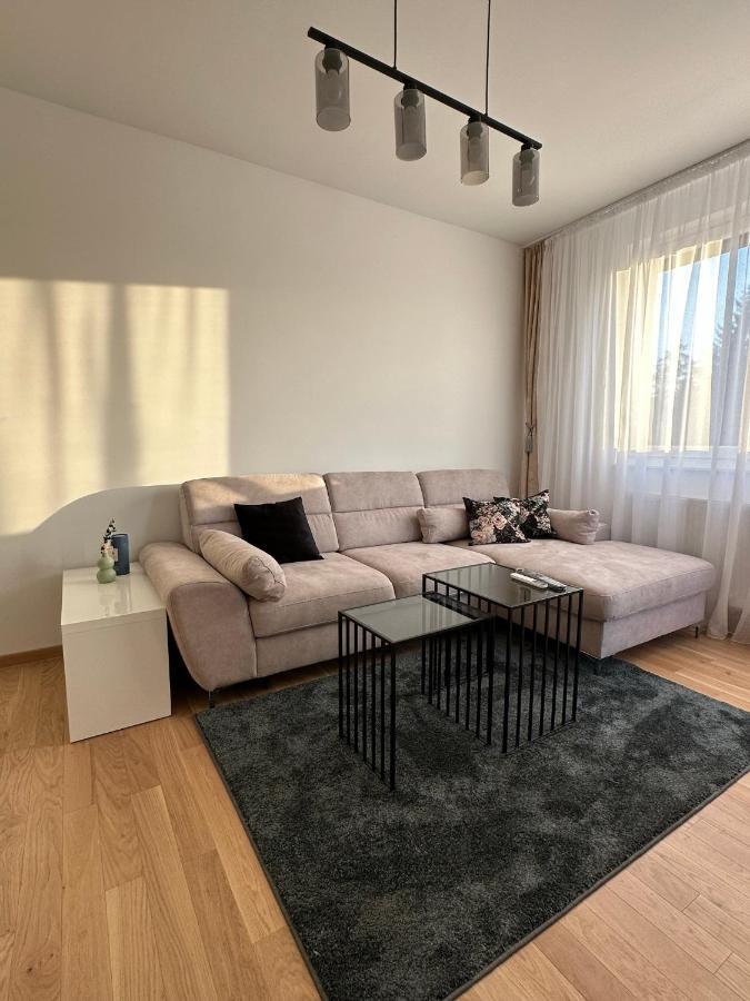 Apartman Ema 巴尼西卢卡 外观 照片